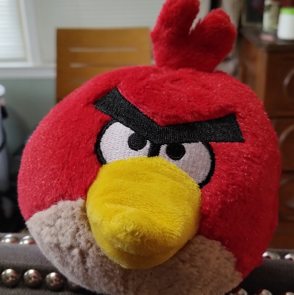 Stuffed Angry Bird Red needs a new home